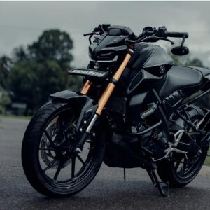 Yamaha MT 15 Modified